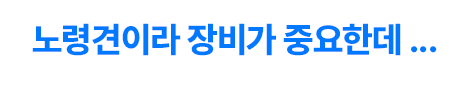 노령견이라 장비가 중요한데 ...