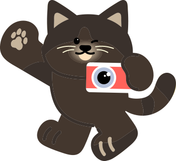 검은 고양이